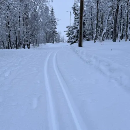 Cozy * ترومسو